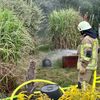 FW Helmstedt: Brennen mehrere Gartenlauben in voller Ausdehnung