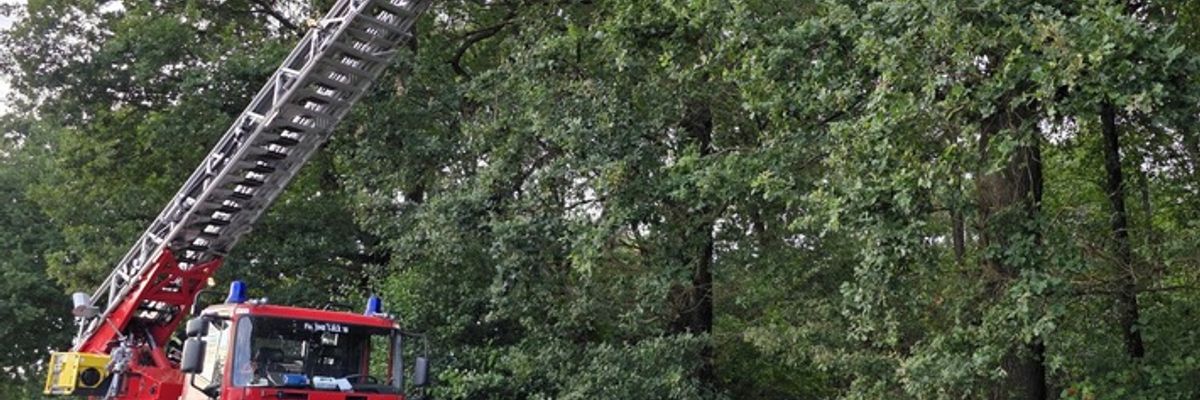 FW Hünxe: Baumkrone droht abzustürzen