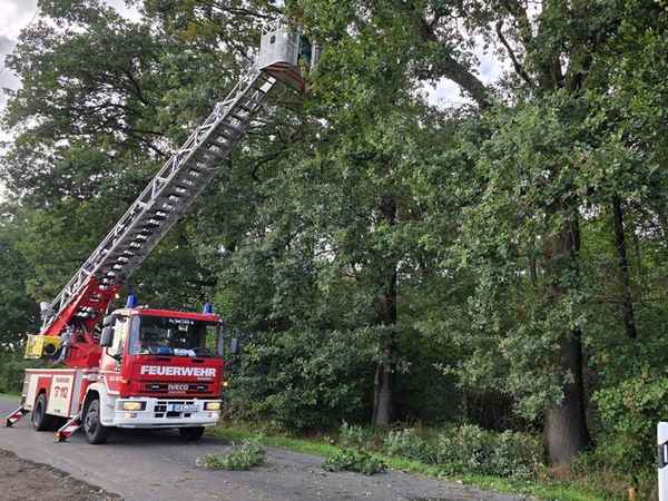 FW Hünxe: Baumkrone droht abzustürzen