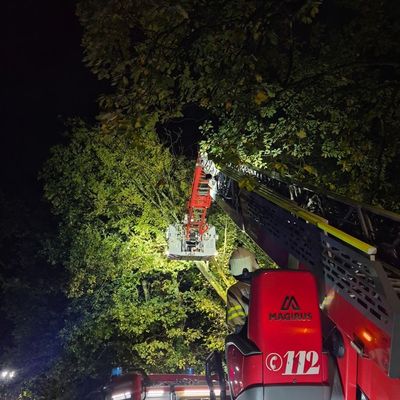 FW-MK: Herbststürme "Luise" und "Manja" ziehen über die Waldstadt