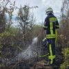 FW Celle: Größerer Vegetationsbrand im Altenceller Feld
