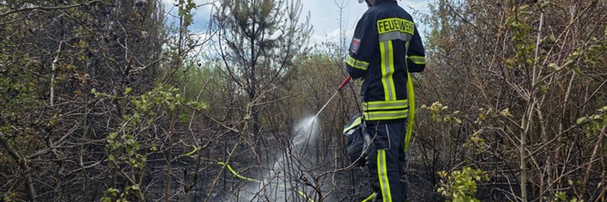FW Celle: Größerer Vegetationsbrand im Altenceller Feld
