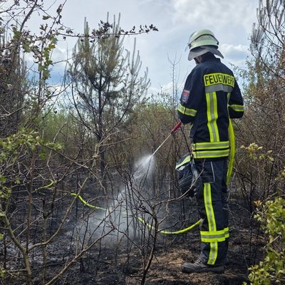 FW Celle: Größerer Vegetationsbrand im Altenceller Feld