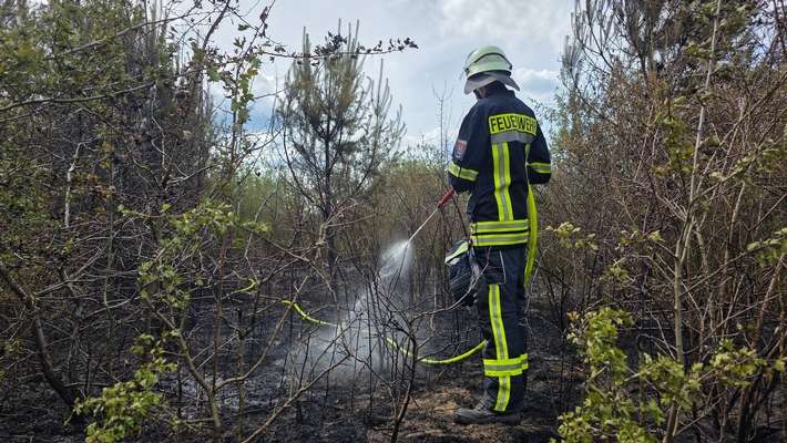 FW Celle: Größerer Vegetationsbrand im Altenceller Feld