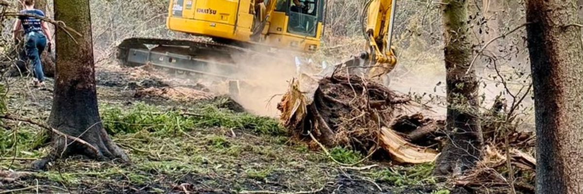 FW-RS: Einsatz der Bereitschaft 5 beim Waldbrand im Hürtgenwald beendet