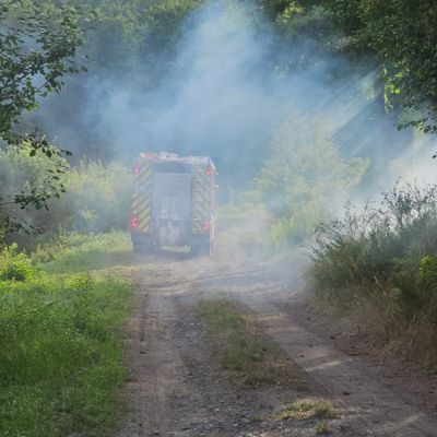 FW-AR: Interkommunale Waldbrandübung der Feuerwehren Ense und Arnsberg