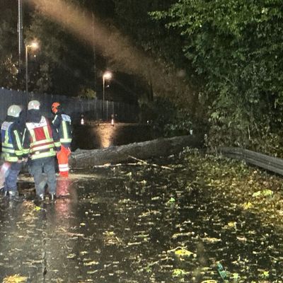 FW-BO: Sturmtief "Luise" sorgt für weitere wetterbedingte Einsätze