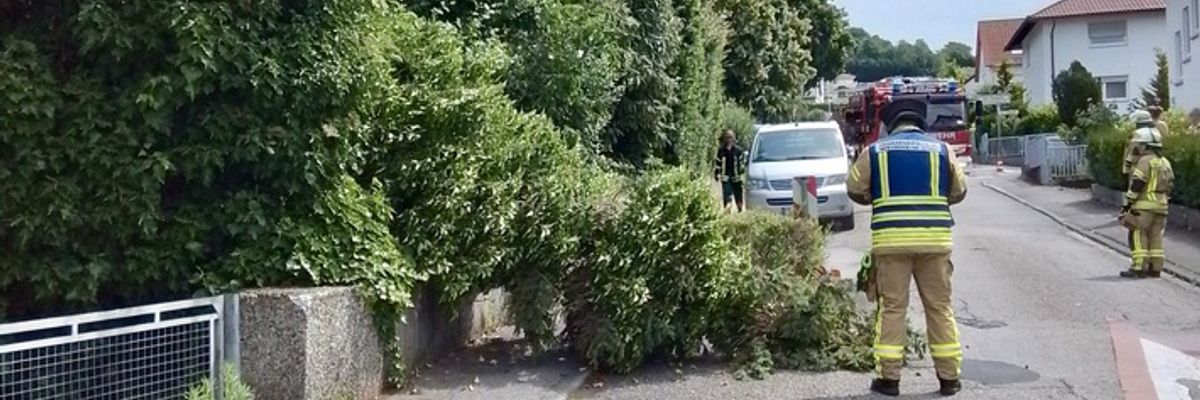 FW Weinheim: Gewitter sorgt für zahlreiche Einsätze der Weinheimer Feuerwehr