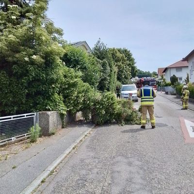 FW Weinheim: Gewitter sorgt für zahlreiche Einsätze der Weinheimer Feuerwehr
