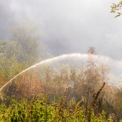 FW-MK: 10.000 Quadratmeter Waldbrand fordert hunderte Einsatzkräfte über fast 48 Stunden