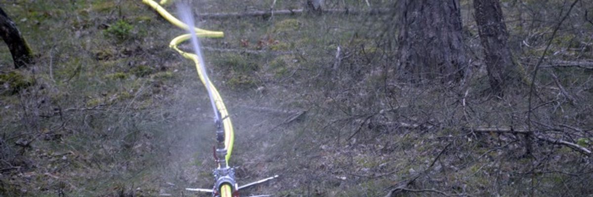 FW Lüchow-Dannenberg: +++ Waldbrandübung in Lüchow-Dannenberg +++ Feldbrand bei Clenze breitet sich aus +++ Insgesamt 8ha Waldgebiet betroffen +++ Feuerwehr hat Probleme mit engen und zugewachsenen Wegen +++