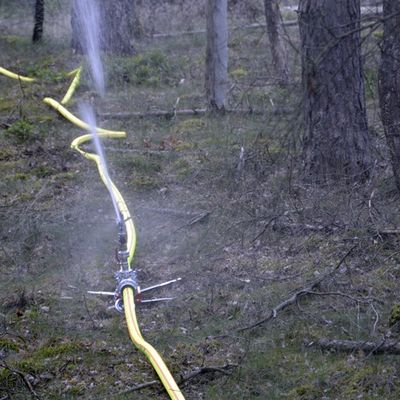 FW Lüchow-Dannenberg: +++ Waldbrandübung in Lüchow-Dannenberg +++ Feldbrand bei Clenze breitet sich aus +++ Insgesamt 8ha Waldgebiet betroffen +++ Feuerwehr hat Probleme mit engen und zugewachsenen Wegen +++