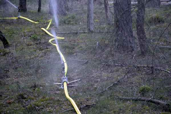 FW Lüchow-Dannenberg: +++ Waldbrandübung in Lüchow-Dannenberg +++ Feldbrand bei Clenze breitet sich aus +++ Insgesamt 8ha Waldgebiet betroffen +++ Feuerwehr hat Probleme mit engen und zugewachsenen Wegen +++
