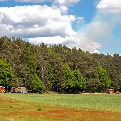 FW LK Neunkirchen: Großer Waldbrand auf dem Kleinen Hirschberg bei Neunkirchen-Kohlhof