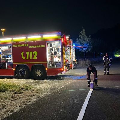 FW-DO: Vegetationsbrand im Bereich der Brackeler Straße