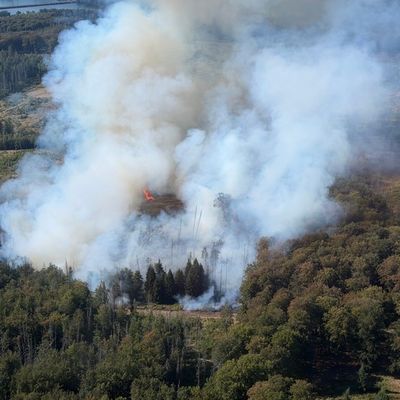 FW Kreis Soest: Waldbrand am Möhnesee / Feuerwehren aus dem Kreis Soest im Einsatz