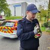 FW-EN: Tierrettung am Sonntag