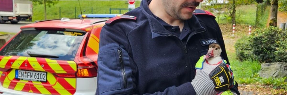 FW-EN: Tierrettung am Sonntag