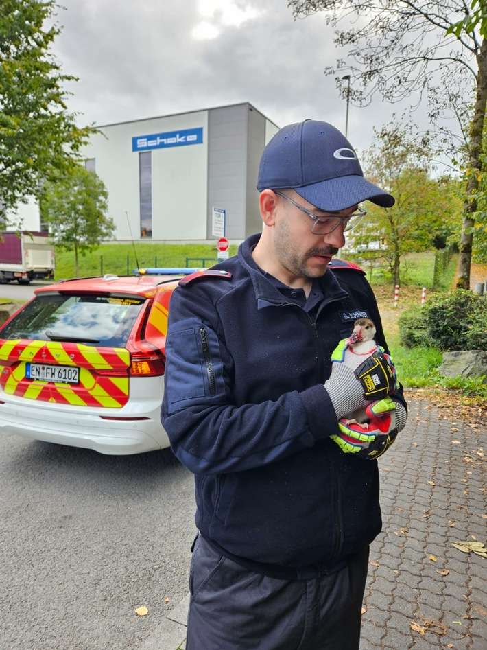 FW-EN: Tierrettung am Sonntag
