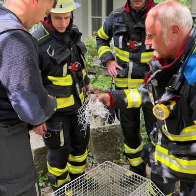 FW-M: Wochenendrückblick der Feuerwehr München für den 15. Mai bis 17. Mai 2026