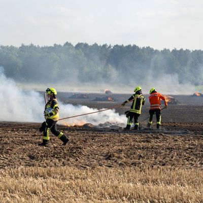 FW Flotwedel: Brennende Ballenpresse sorgt für überörtlichen Feuerwehreinsatz bei Papenhorst