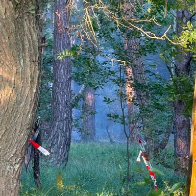 FW Rösrath: Waldbrand in der Wahner Heide - rund 200 Einsatzkräfte vor Ort