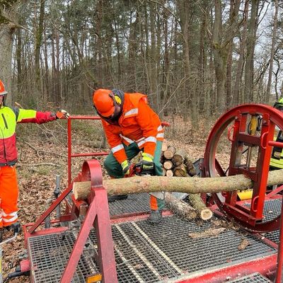 FFW Bergen: Kettensägenausbildung Modul A der Stadtfeuerwehr Bergen