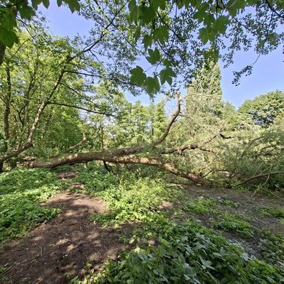 FW-EN: Wetter - bisher fünf Einsätze an Pfingsten