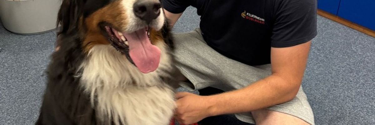 FW Böblingen: Die Feuerwehr Böblingen wurde am späten Samstagabend zu einer eher ungewöhnlichen Tierrettung alarmiert.