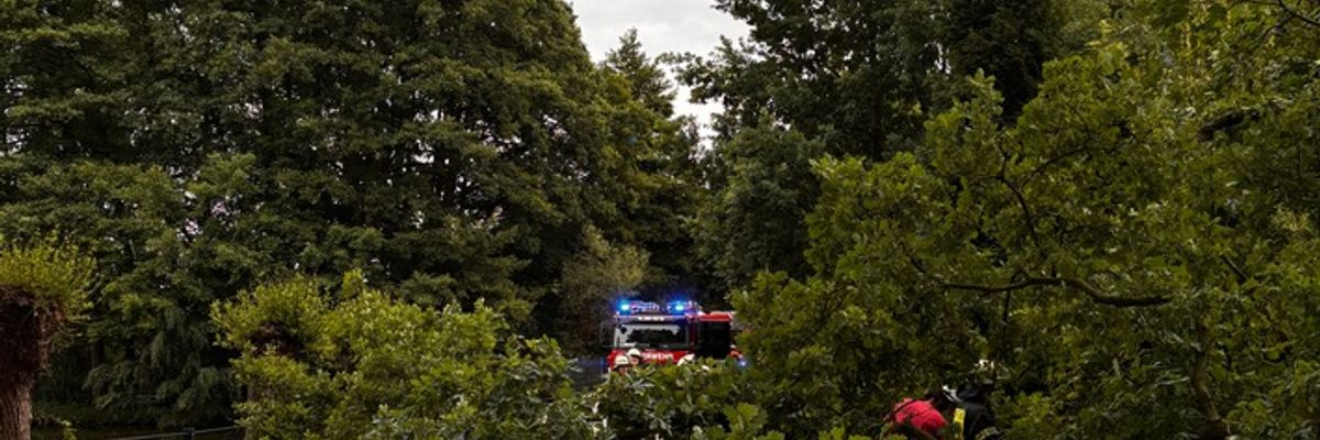 FW-Schermbeck: Umgestürzter Baum