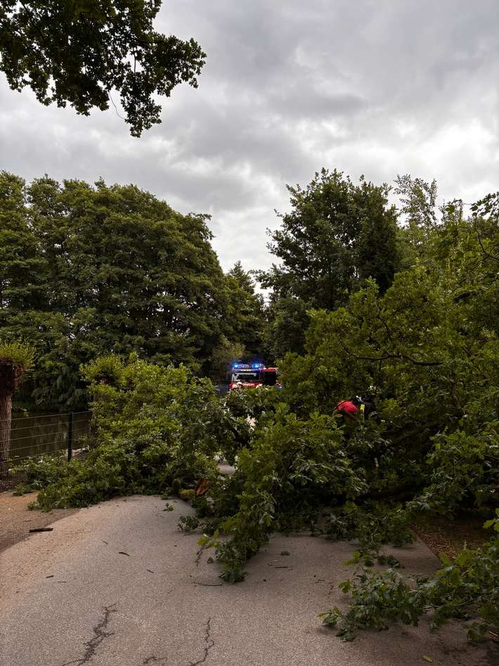 FW-Schermbeck: Umgestürzter Baum