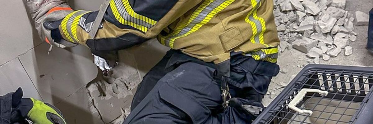 FW-E: Katze in Zwangslage - Feuerwehr befreit "Schreihals" nach dreistündigem Einsatz