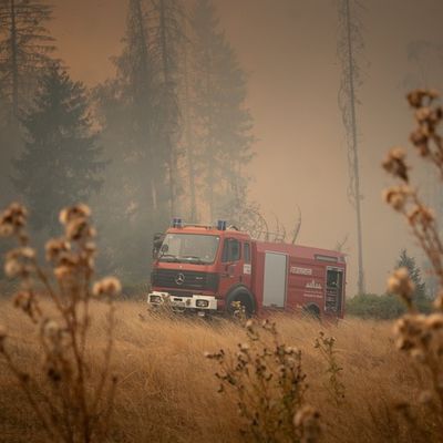 FW LK Neunkirchen: Waldbrand im Hosterwald: Einsatz nach 78 Stunden beendet