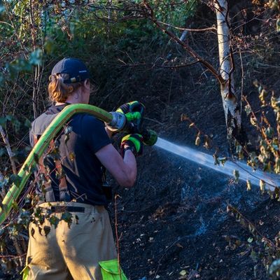 FW-MK: 10.000 Quadratmeter Waldbrand fordert hunderte Einsatzkräfte über fast 48 Stunden