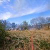 FW Konstanz: Vegetationsbrand