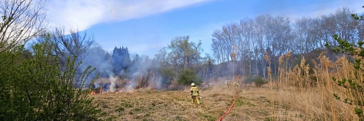 FW Konstanz: Vegetationsbrand