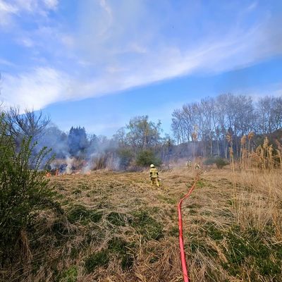FW Konstanz: Vegetationsbrand