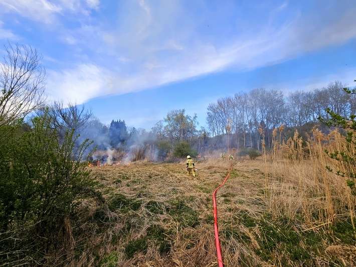 FW Konstanz: Vegetationsbrand