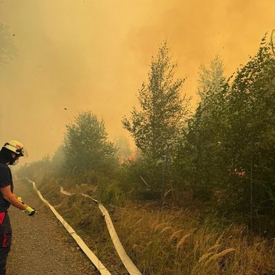 FW Kreis Soest: Waldbrand am Möhnesee aktuell unter Kontrolle / 58.000qm Wald betroffen.