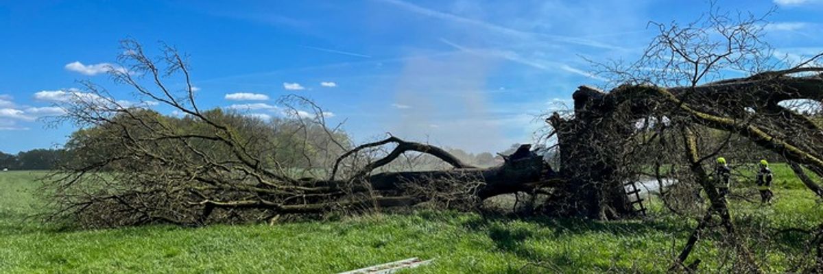 FW Flotwedel: Zwei Einsätze binnen sechs Stunden in Wienhausen