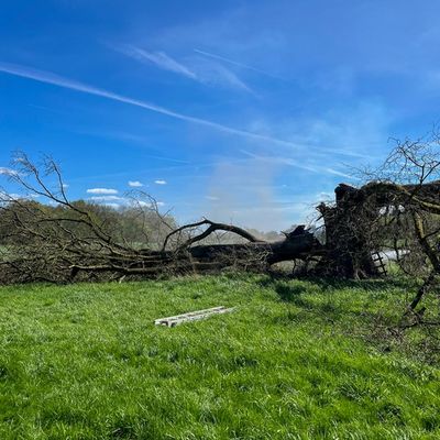 FW Flotwedel: Zwei Einsätze binnen sechs Stunden in Wienhausen