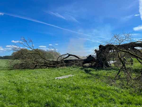 FW Flotwedel: Zwei Einsätze binnen sechs Stunden in Wienhausen