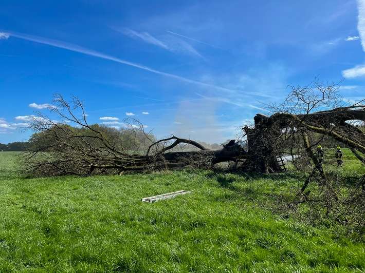 FW Flotwedel: Zwei Einsätze binnen sechs Stunden in Wienhausen