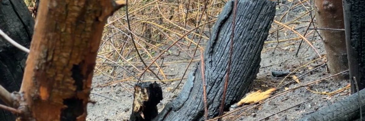 FW-MH: Flächenbrand an der Stadtgrenze
