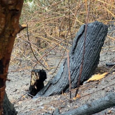 FW-MH: Flächenbrand an der Stadtgrenze