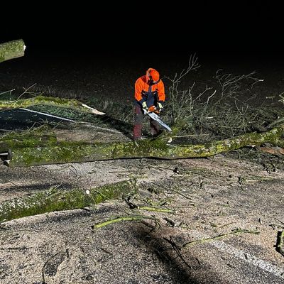 FW Ense: Baum auf Fahrbahn