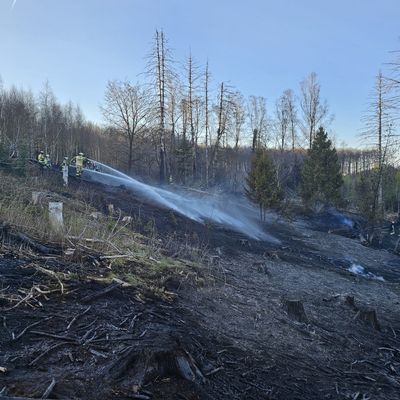 FW-EN: Waldbrand