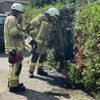 FW Lehrte: Gasbrenner setzt Hecke in Brand