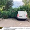 FW-M: Umgestürzter Baum erfordert schweres Gerät (Lochhausen)
