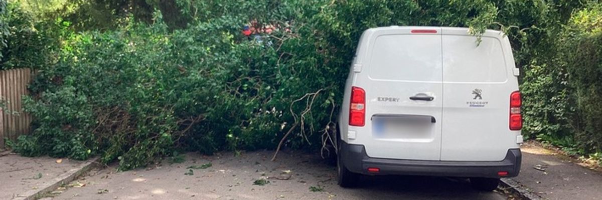 FW-M: Umgestürzter Baum erfordert schweres Gerät (Lochhausen)